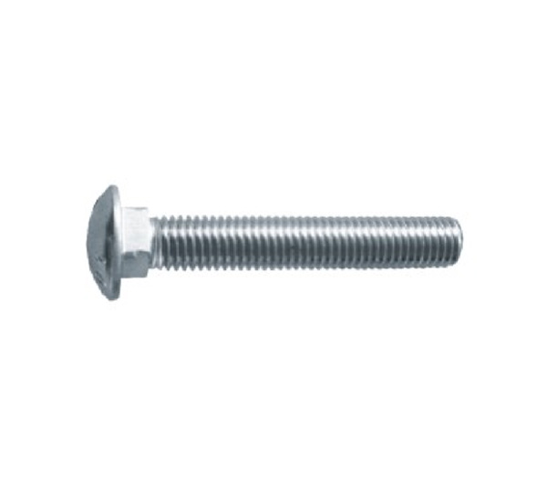 Carriage Bolts