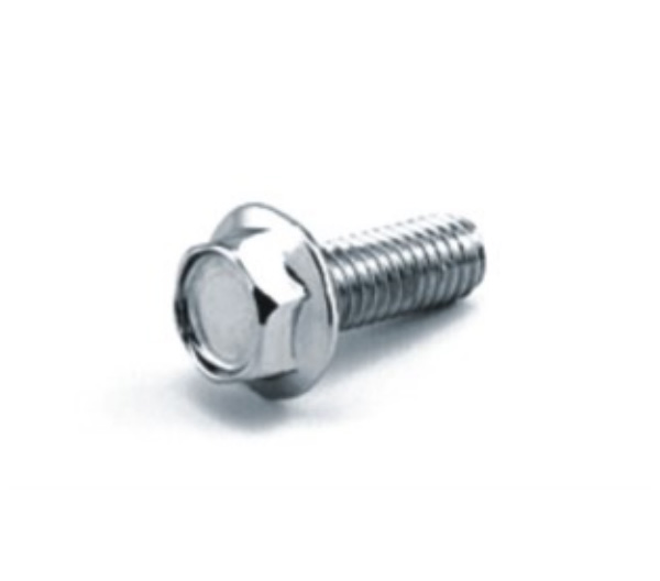 Hex Flange Screws